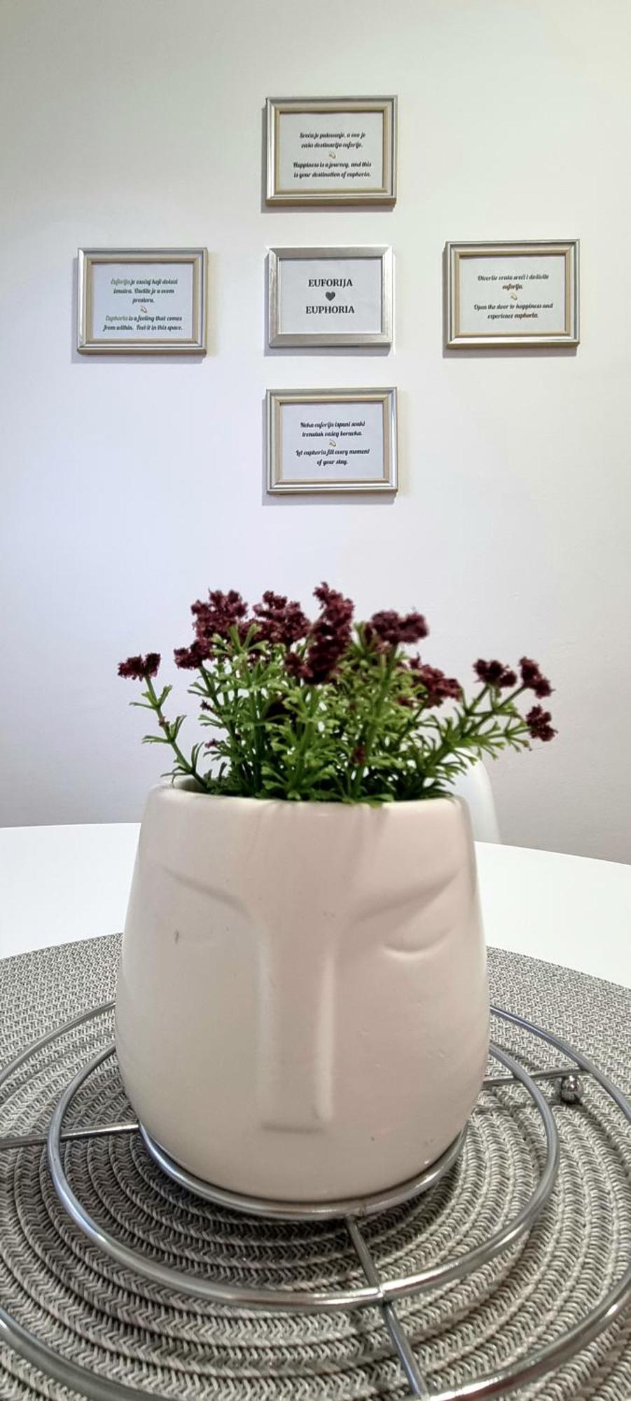 Euforia Apartment Beograd Eksteriør bilde